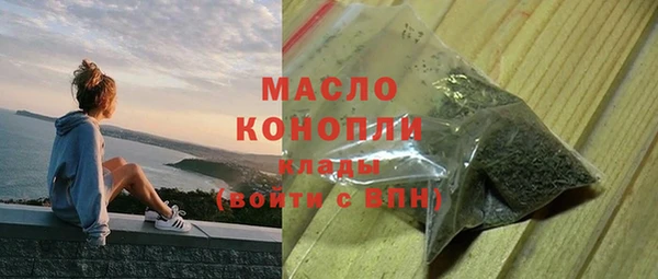 гидра Богородицк