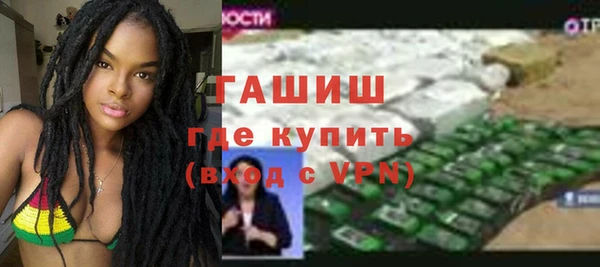 гидра Богородицк