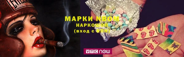 шишки Богородск