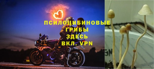 шишки Богородск