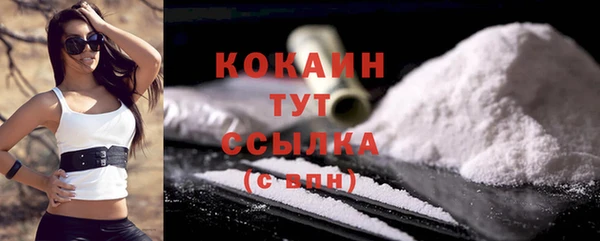 шишки Богородск