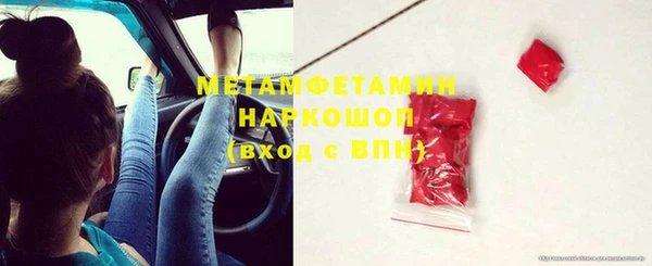 гидра Богородицк