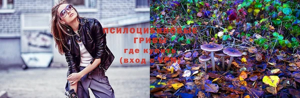 шишки Богородск