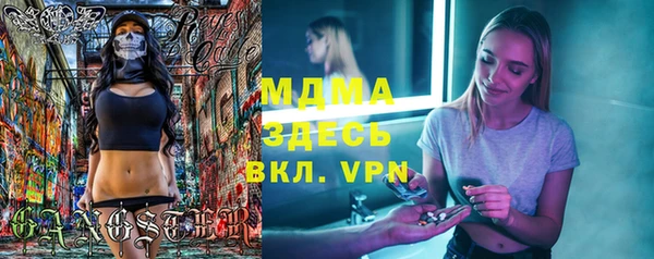 гидра Богородицк