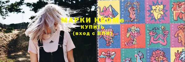 шишки Богородск