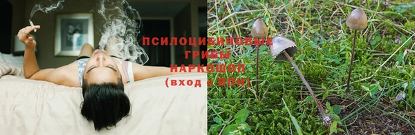 гидропоника Верхний Тагил