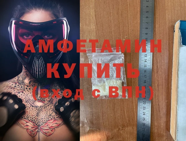 гидра Богородицк