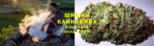 шишки Богородск