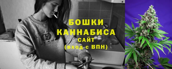 гидра Богородицк