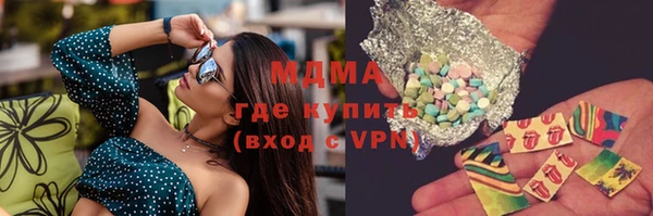 гидра Богородицк