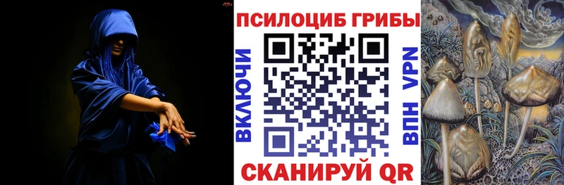 Купить где  Кремёнки  Псилоцибиновые грибы Magic Shrooms 